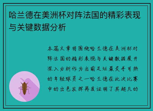 哈兰德在美洲杯对阵法国的精彩表现与关键数据分析